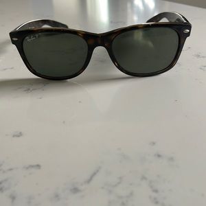 Tortuous shell polarized Ray Bans